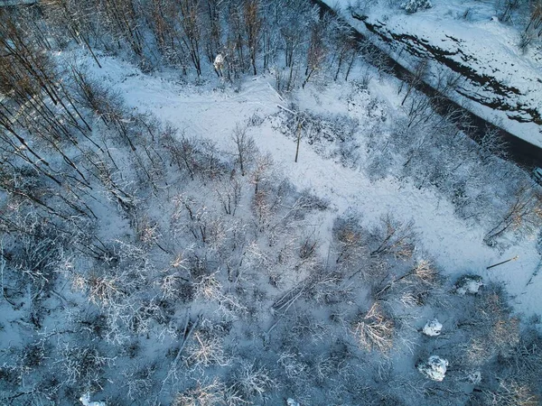 Видеозаписей Сделанных Дроном Соснового Леса Покрытого Снегом — стоковое фото