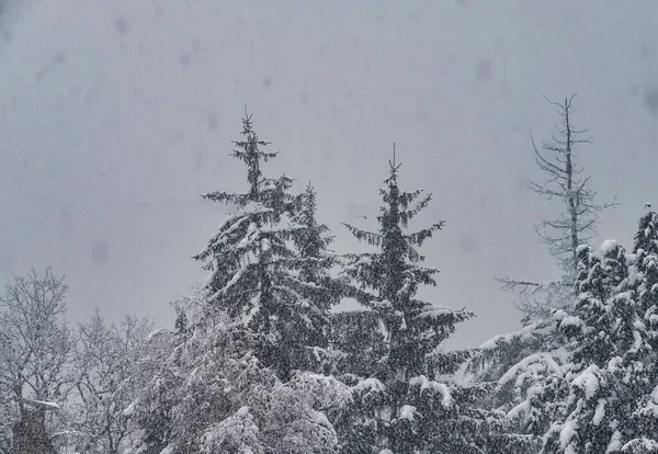 意大利北部有雪景的冬季风景 — 图库照片