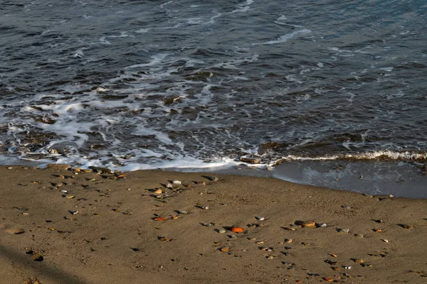 Die Wellen Des Meeres Brechen Einem Kalten Wintertag Strand Der — Stockfoto