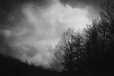 İtalya 'nın Liguria kırsalında çekilmiş dramatik siyah beyaz manzaralar.