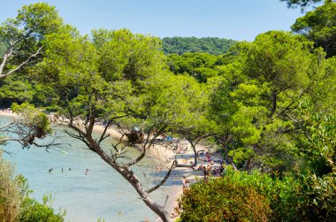 Güney Fransa 'daki Porquerolles adasındaki tropikal deniz manzaraları (Fransız Rivierası). Karayip denizine benzer manzaralar