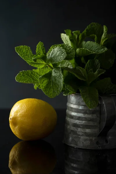 Mint segar dalam cangkir besi dan lemon Stok Lukisan  