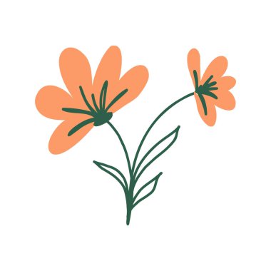 El Çizimi Portakal Çiçeği Botanik Çizimi