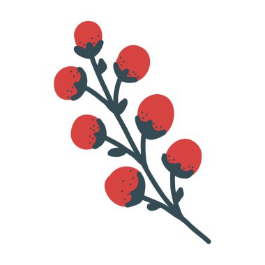 Beyaz Arkaplanda Kırmızı Böğürtlen Botanik Elemanı