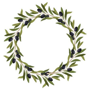 Yeşil yapraklar ve siyah zeytinleri içeren zeytin dalı çizimi beyaz arkaplanda izole edilmiş dairesel botanik çerçeve