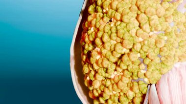 Kilo kaybı karşılaştırması. İnsan vücudu dönüşümü. Kalın ve ince belden önce ve sonra şişman göbek ve zayıf karın hızlı kilo verme sürecinden sonra mükemmel bir şekilde uydu. Spor eğitimi. yağ yanığı, 3D render