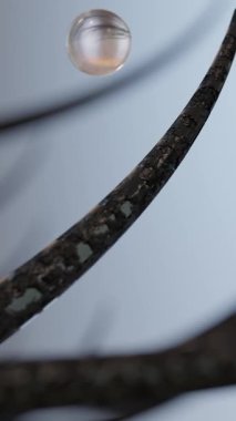 Saç bakımı ve saç kremi pürüzsüz ve parlak görünmesini sağlıyor. Saçları köklerinden besle ve saçlarını düzelt. Vitaminler, parlak, 3 boyutlu görüntüleme