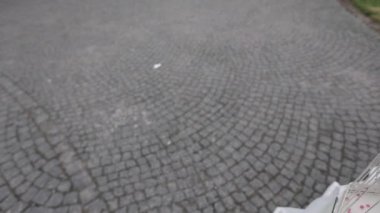 Ziyafet düğün dekorasyon. Bir düğün salonu süsleme görevler için hazır iç. Tören ve düğün