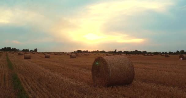 Feld mit Strohballen unter Sonnenuntergang Himmel ultrahd Drohne Luftaufnahmen — Stockvideo