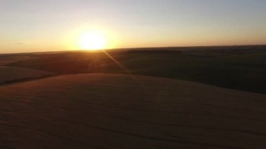 Güzel uzun hava taşıma sinek buğday alan Sunset akşam Ultrahd üzerinde