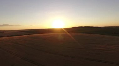 Anteni: Sunset akşam buğday alan uçuş