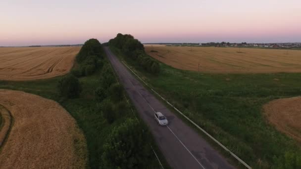 AERIAL: Voo sobre o campo de trigo ao pôr do sol na Ucrânia 4k — Vídeo de Stock