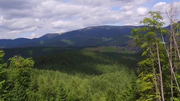 Voo com vista aérea sobre as montanhas. Ucrânia. Bukovel. Voando sobre a Floresta. Resolução 4K — Vídeo de Stock