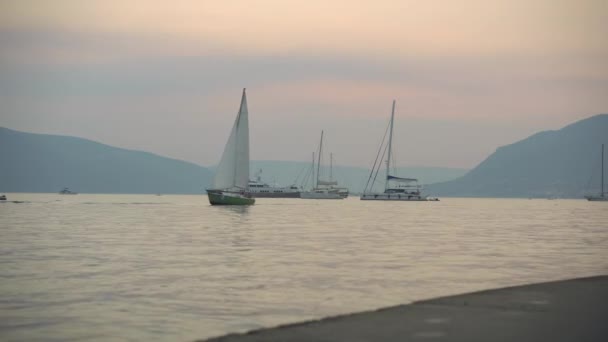 Tramonto Regata di barche a vela nella baia di Boka, Montenegro, Adriatico, in 4k ultrahd — Video Stock