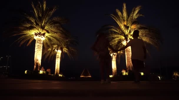 Città di notte Tivat in Porto Montenegro. Hotel e barche a vela nella baia di Boka, Montenegro, Adriatico, settembre 2016 in 4k uhd — Video Stock