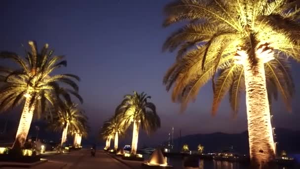 Ciudad nocturna de Tivat en Porto Montenegro. Hotel y veleros en la bahía de Boka, Montenegro, Adriático, septiembre 2016 en UHD — Vídeo de stock