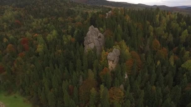 Flying Over the Forest and in Cloudy Weather Rock in FullHD — Stock Video