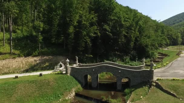 Boda de transporte de partida para el castillo de la princesa. Vídeo aéreo — Vídeo de stock