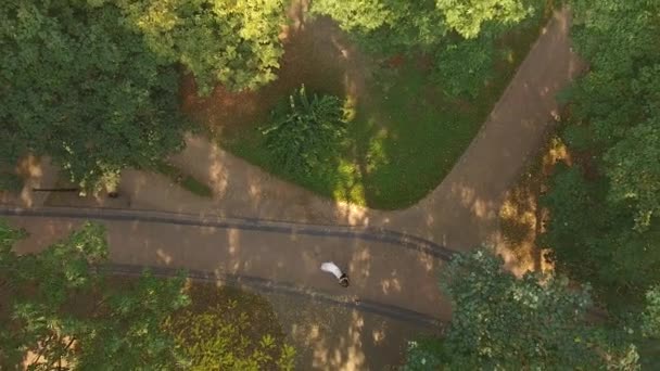 Luchtfoto Video pasgetrouwden zijn Circling in de dans Through the Trees — Stockvideo