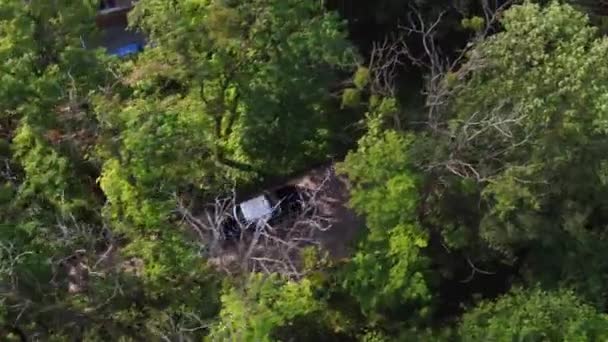 Aerial Old City Lviv, Ukraine. Flying over the trees. Car wedding. — Stock Video