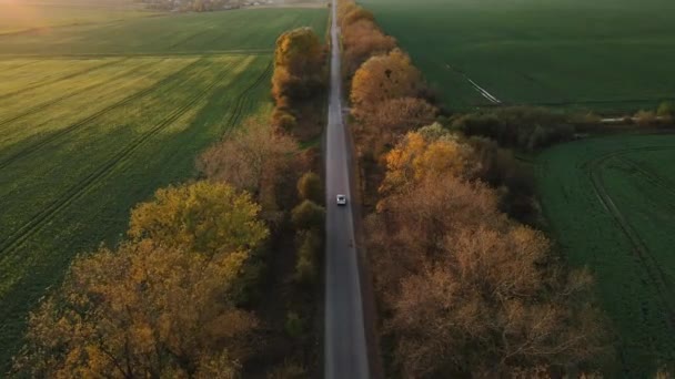 Aerial view Elektromos autó vezetés a Country Road. Luxus modern jármű lovaglás gyors mentén fák és mezők. Fényképezte drón lövés repül át kavicsos úton fák naplementekor — Stock videók
