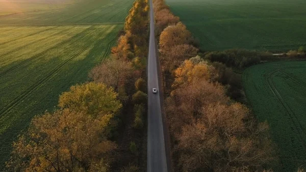 Aerial view Electric Car Driving on Country Road. Luxury modern vehicle riding fast along trees and fields. Cinematic drone shot flying over gravel road with trees at sunset.