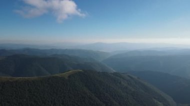 Çam ormanı ve yaz günü güneş alan dağ vadisi. Avrupa açık hava yeşili doğa manzarası dağları vahşi hava düzeni. İHA uçuşu