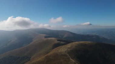 İnşaat ya da tarımsal ihtiyaçlar için kesik bir ormanın üzerinde uçan hava aracı. Ormanların tahrip edilmesi. Doğanın ve ekosistemin insanlar tarafından tahrip edilmesi. İklim değişikliği, ekoloji, dünya.