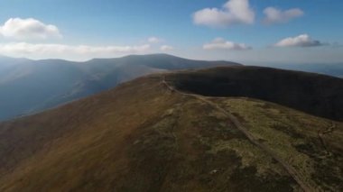 Orman ve tropikal orman tahribatı. Amazon ve Sibirya vahşiliği. İklim değişikliği, ekoloji, dünya. Ormanların yok edilmesi, orman kesimi konsepti. Etrafta talaşlar uçuşurken odun kesiliyor..