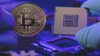 İşadamı elleri, anakart geçmişinde altın Bitcoin ve işlemci tutuyor. İnsan gelecekteki para birimini gösteriyor. Madencilik, ticaret. Parmaklarda kripto para birimi.