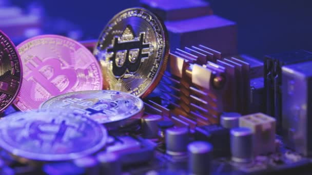 Sebuah Lot of Bitcoin mata uang Crypto Bitcoin BTC Bit Coin. Foto dekat koin Bitcoin yang terisolasi di latar belakang motherboard. Teknologi Blockchain, konsep pertambangan bitcoin. — Stok Video