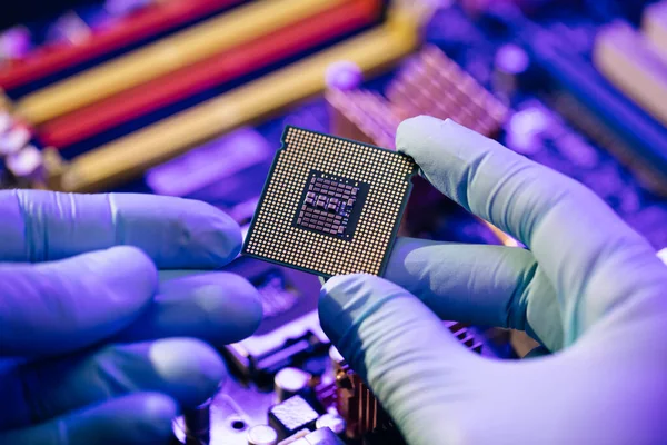 CPU computer processor shallow focus. CPU socket of the computers motherboard. Concept of computer, motherboard, hardware and technology. Laboratory technician holds a powerful processor in his hands