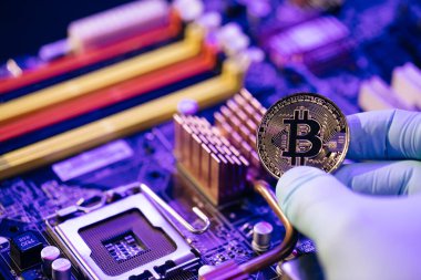 Altın Bitcoin elektronik bilgisayar işlemci tahtası. Erkek adam Bitcoin 'i tutuyor, anakart geçmişinde izole edilmiş. Dijital Para ve Bitcoine Kavramı.