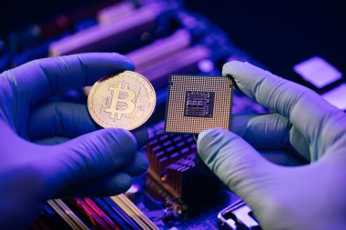 İnsan elleri anakart arka planında altın Bitcoin ve işlemci tutar. İnsan gelecekteki para birimini gösteriyor. Madencilik, ticaret. Parmaklarda kripto para birimi