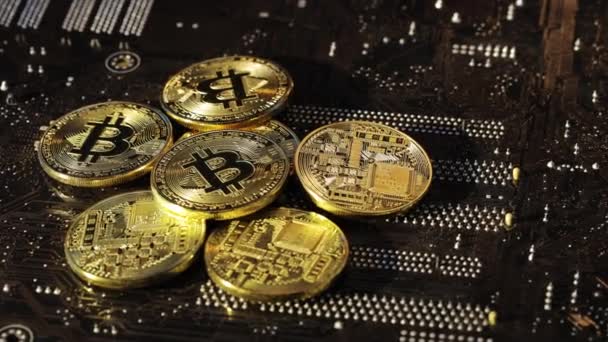 Close up tiro de ouro Bitcoins moedas isoladas no fundo placa-mãe. Criptomoeda, Bitcoin. BTC, Bit Coin. Tecnologia Blockchain, mineração bitcoin. — Vídeo de Stock