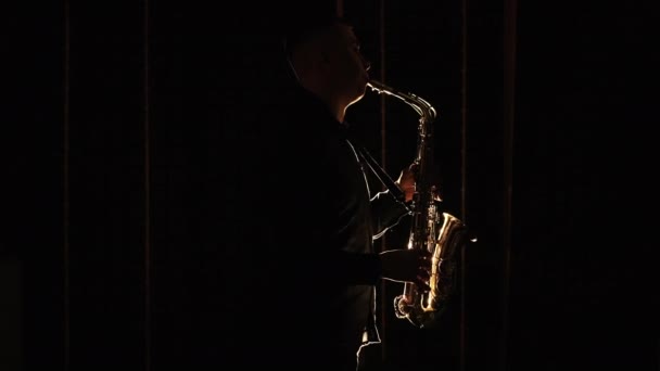 Silueta negra del saxofonista masculino tocando el saxofón alternativo dorado en un instrumento musical. Un buen saxofonista tocando un solo en el escenario. Músico tocando en la banda — Vídeos de Stock