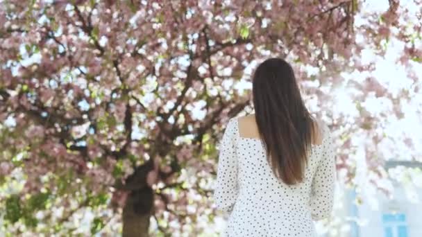 Europejska dziewczyna porusza się po parku, potem odwraca się i rzuca płatki kwiatu sakury w stronę kamery. dziewczyna dmuchanie różowy wiśnia płatki kwiat w jej ręce w wiśnia kwiat las — Wideo stockowe