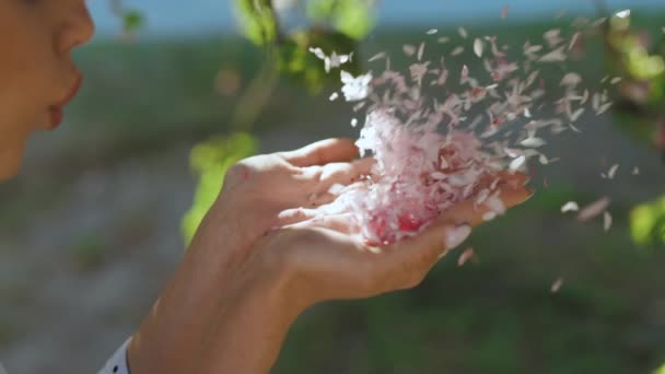 Vista trasera de la hermosa chica está sosteniendo pétalos de flores de color rosa en sus manos. Pétalos que soplan, tiempo ventoso. Chica soplando pétalos de flor de cerezo rosa en sus manos en el bosque de flores de cerezo. Super cámara lenta — Vídeos de Stock