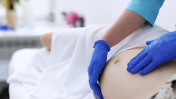 Gravid kvinna besöker gynekolog läkare på sjukhus eller läkarmottagning. Graviditet och mödravård koncept. Fysioterapeut kvinna massera magen på gravida kvinna på en bår — Stockvideo