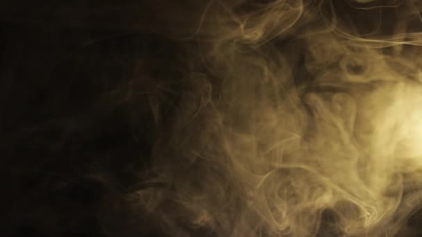 Bianco astratto e fumo colorato al rallentatore. Smoke, Nuvola di nebbia fredda sullo sfondo del punto luce. Luce, bianco, nebbia, nuvola, sfondo nero. Nebbia fluttuante — Video Stock