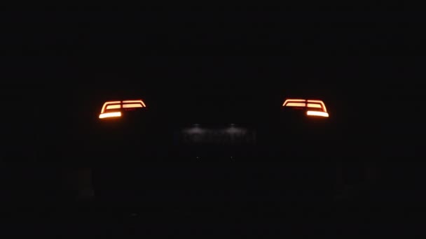 Noodknipperende achterlicht van de auto. Achterzijde Rode LED Remlicht Nieuwe Luxe Auto. Auto noodlichtsignaal, waarschuwingsbord. Niemand in de buurt om te helpen — Stockvideo