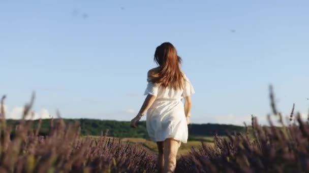 Giovane donna felice in un abito bianco che attraversa il campo di lavanda. Dietro una bella ragazza in Provenza, Francia. Aromaterapia — Video Stock