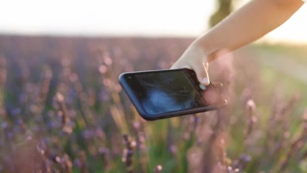 Αγνώριστο κορίτσι Χρησιμοποιώντας Smartphone για να τραβήξετε φωτογραφίες των πεδίων Lavender. Νεαρό χαρούμενο μικρό κορίτσι χέρια λήψης εικόνων ατελείωτες λιβάδια λεβάντα σε ένα έξυπνο τηλέφωνο close up — Αρχείο Βίντεο