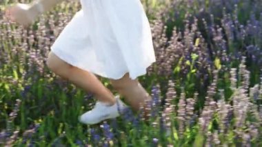 Lavanta tarlasında koşan beyaz elbiseli tanınmayan bir kız. Sunrise Meadow 'da koşan bilinmeyen kız bacakları. Kadınlar kırsal kesimde temiz havanın tadını çıkarırlar. Kız lavanta çiçekleriyle koşar