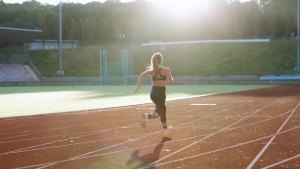 Fit žena běží na závodní dráze během tréninku. Samice běžkyně trénující na atletické závodní dráze. Zadní pohled na atletickou ženu běžící na stadionu za letního ranního světla. Sportovkyně — Stock video