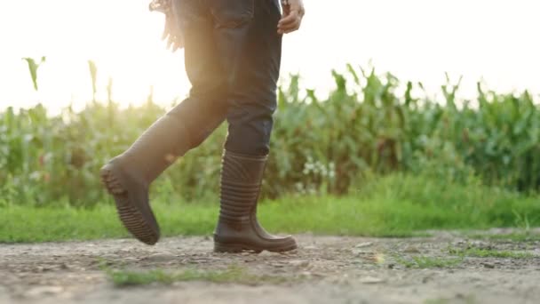 Männlicher Bauer in Gummistiefeln läuft auf einer Landstraße in der Nähe eines Maisfeldes. Senior-Landwirt geht nach der Ernte mit Gummistiefeln nach Hause — Stockvideo