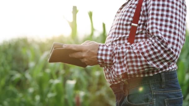 Senior Mann Landwirt mit digitalem Tablet arbeitet in Feld Smart Farm in einem Feld mit Mais. Landwirtschaftskonzept. Arbeiten bei der Feldernte. Alter Landwirt engagiert sich in der Landwirtschaft — Stockvideo