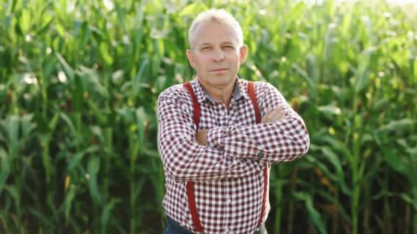 一个迷人的白人男子站在绿色的玉米地上，高兴地对着摄像机笑着，这是他的肖像。夏天，在户外笑着的男农场主。相机变焦了 — 图库视频影像