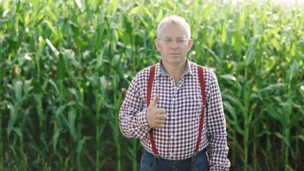 Портрет кавказького старшого чоловіка, що стоїть на зеленому полі кукурудзи, весело посміхаючись фотоапарату і віддаючи великий палець. Чоловік фермер з посмішкою на відкритому повітрі в літньому кукурудзяному полі — стокове відео
