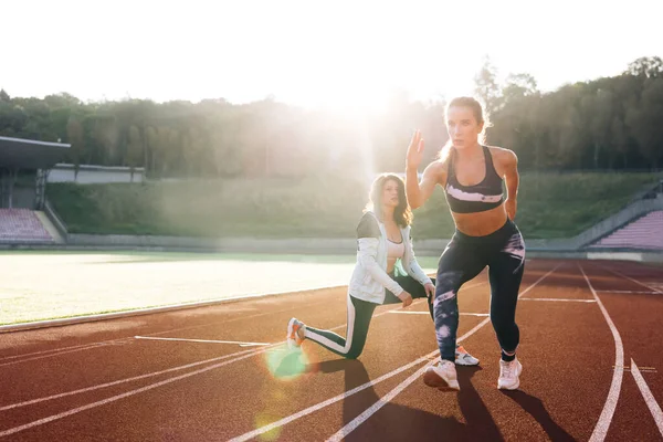 Female athlete training with personal trainer at running track in the morning light. Active fitness woman runner jogging in sunny track summer day outdoors. Jogger activity. Sportswoman